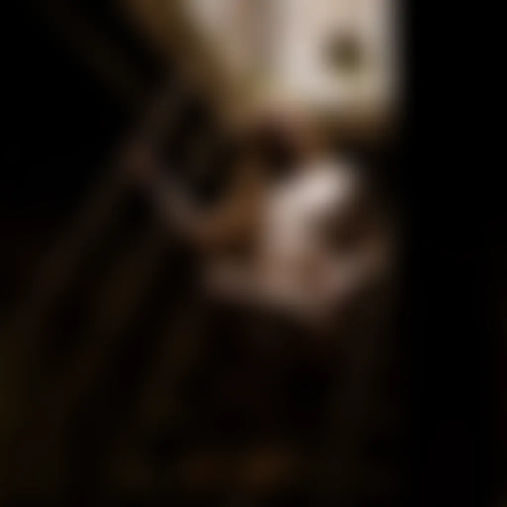 Slide image 8