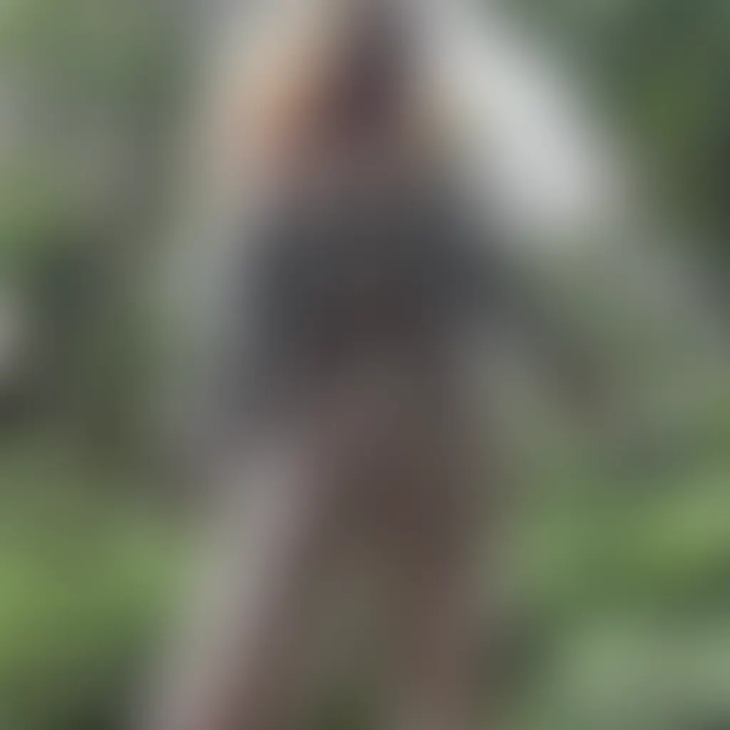 Slide image 5