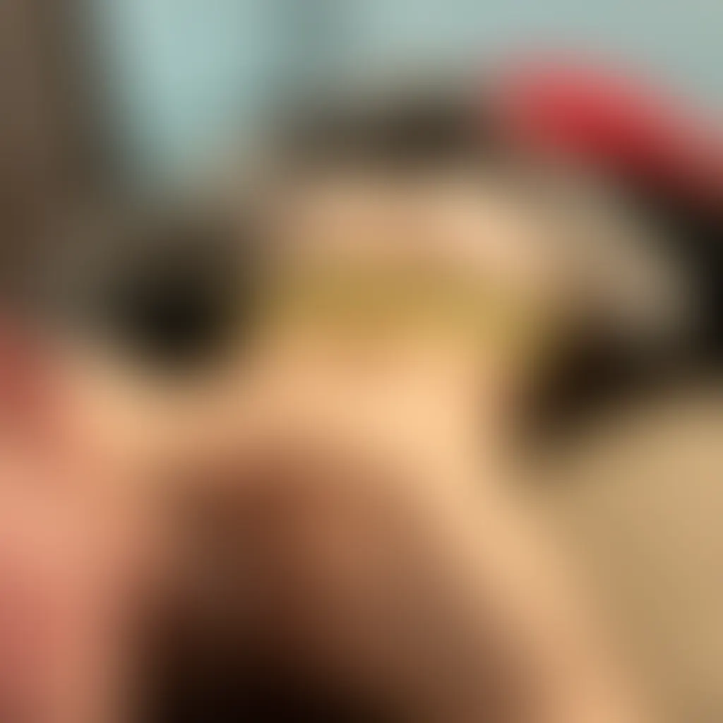 Slide image 2