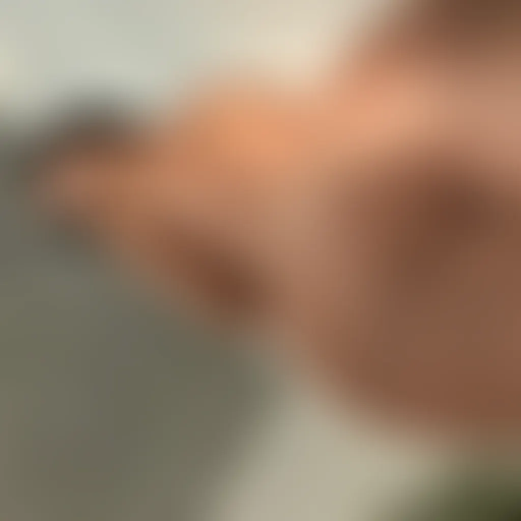 Slide image 3