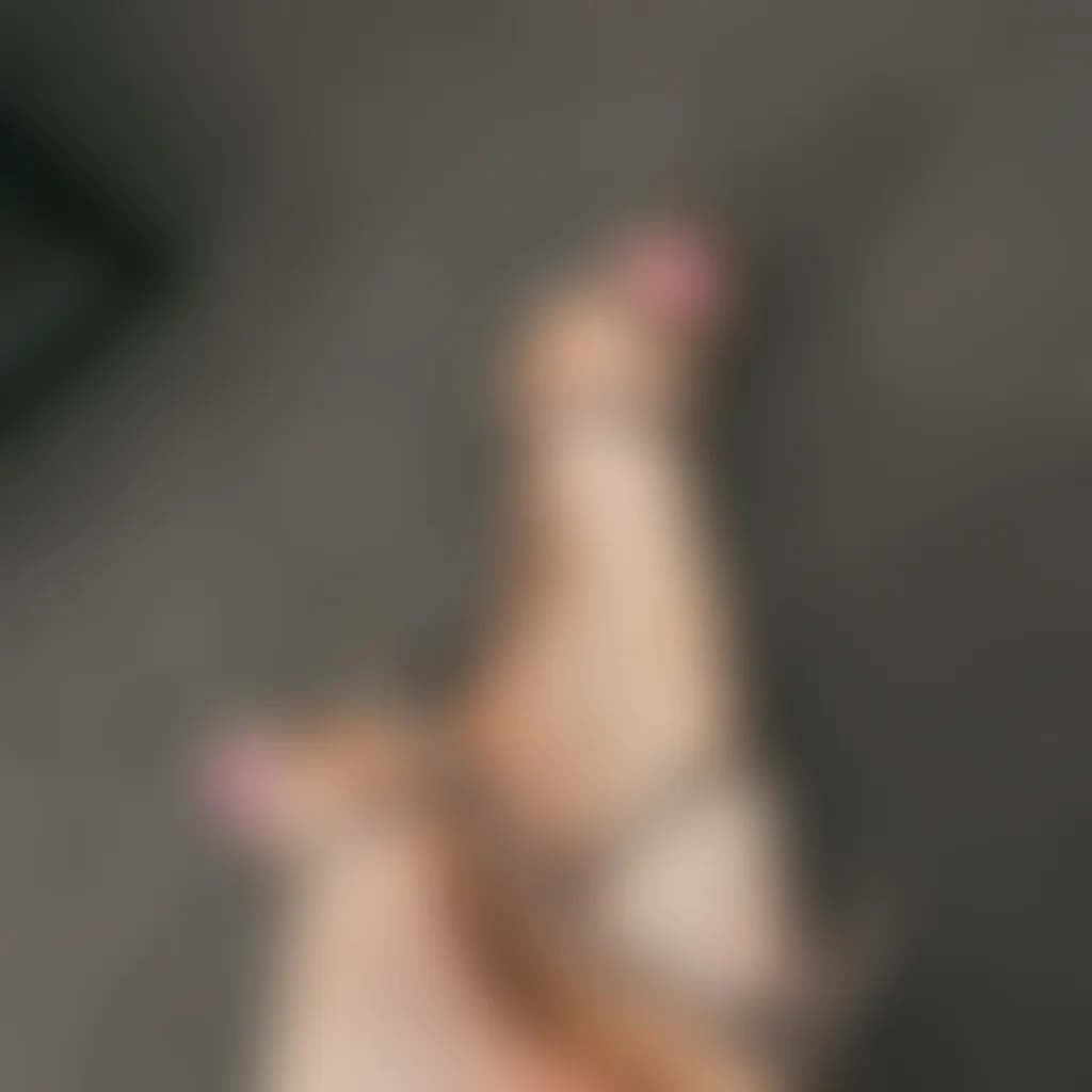 Slide image 2