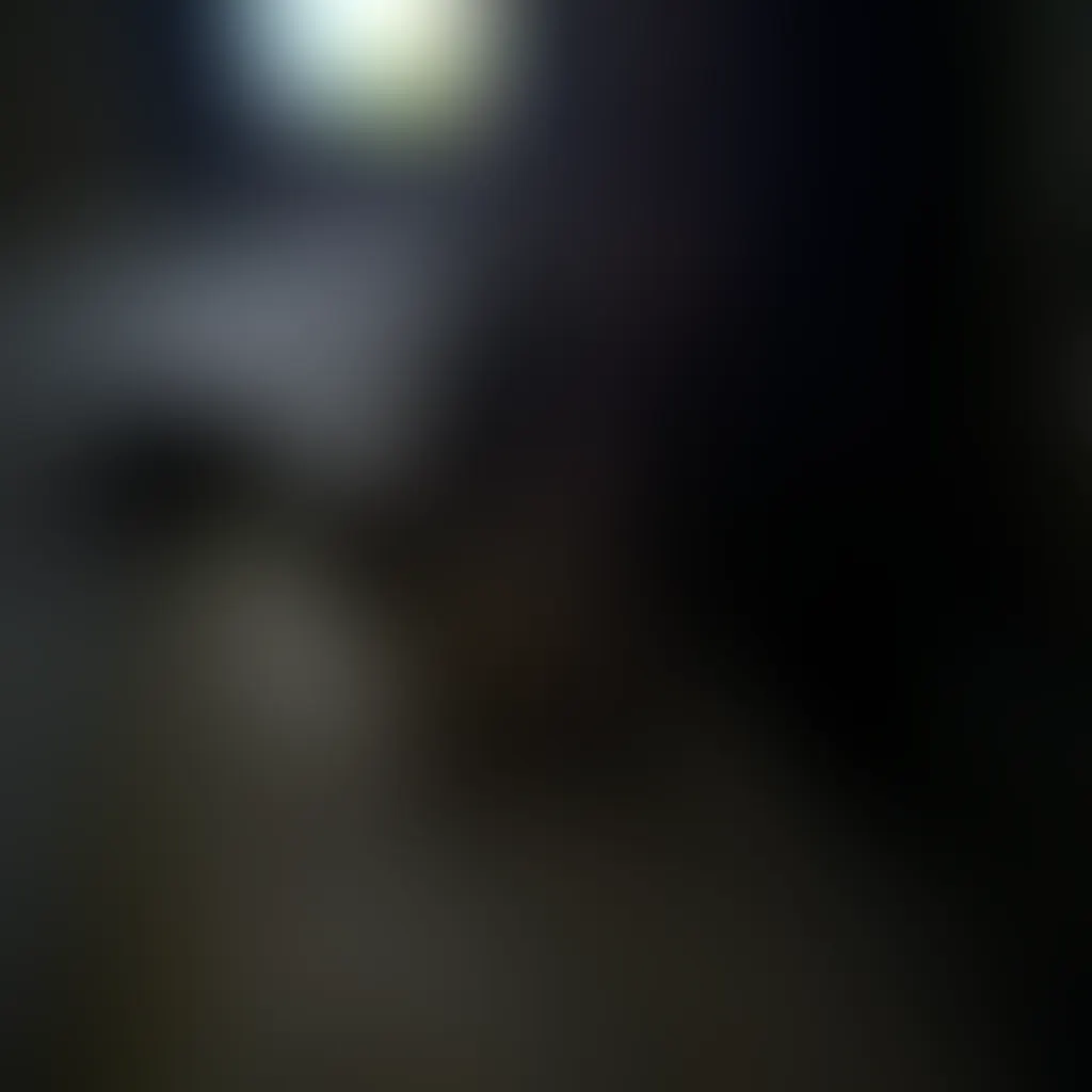 Slide image 2