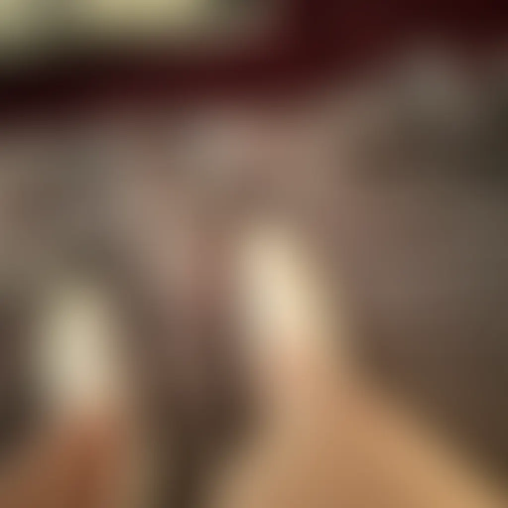 Slide image 2