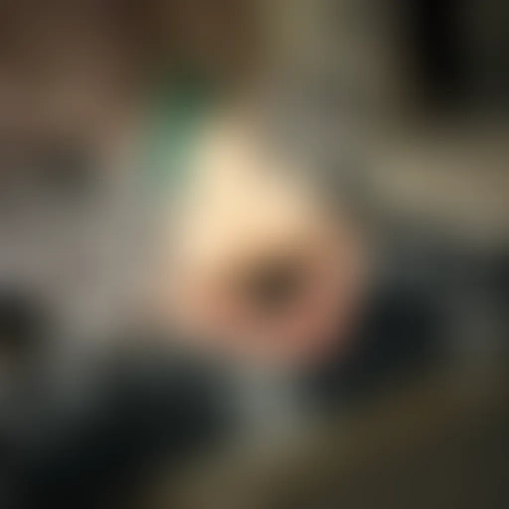 Slide image 8
