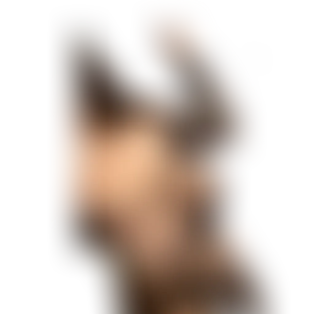 Slide image 1