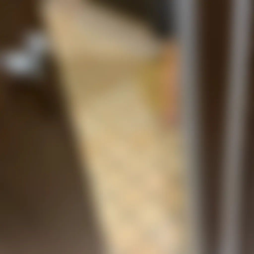 Slide image 2