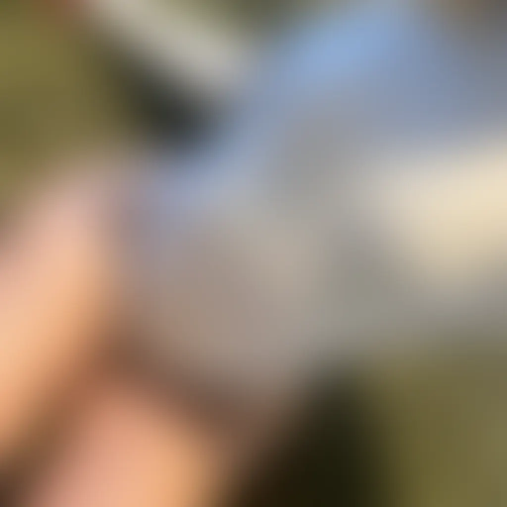 Slide image 8