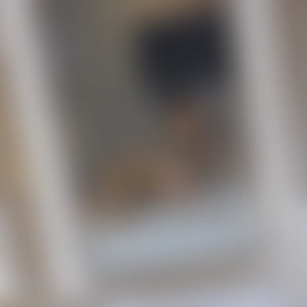 Slide image 2