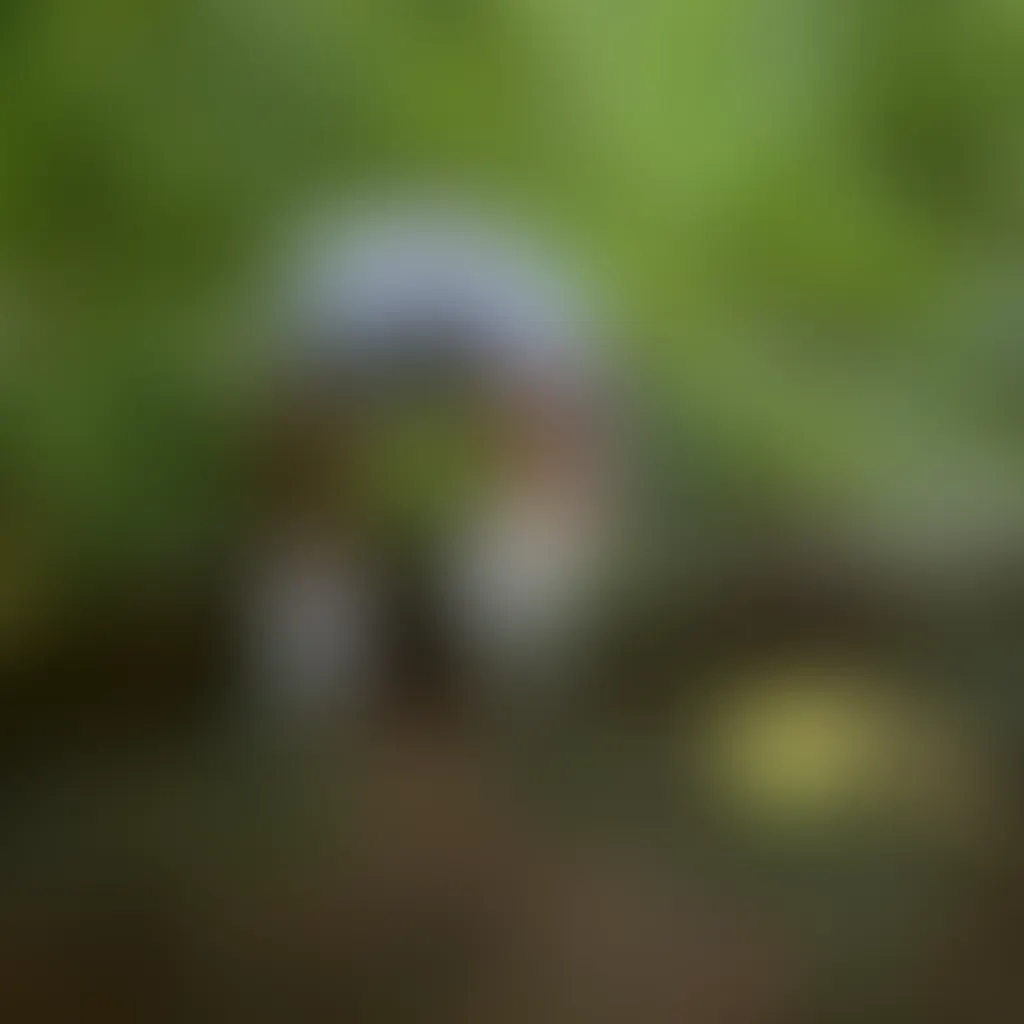 Slide image 1