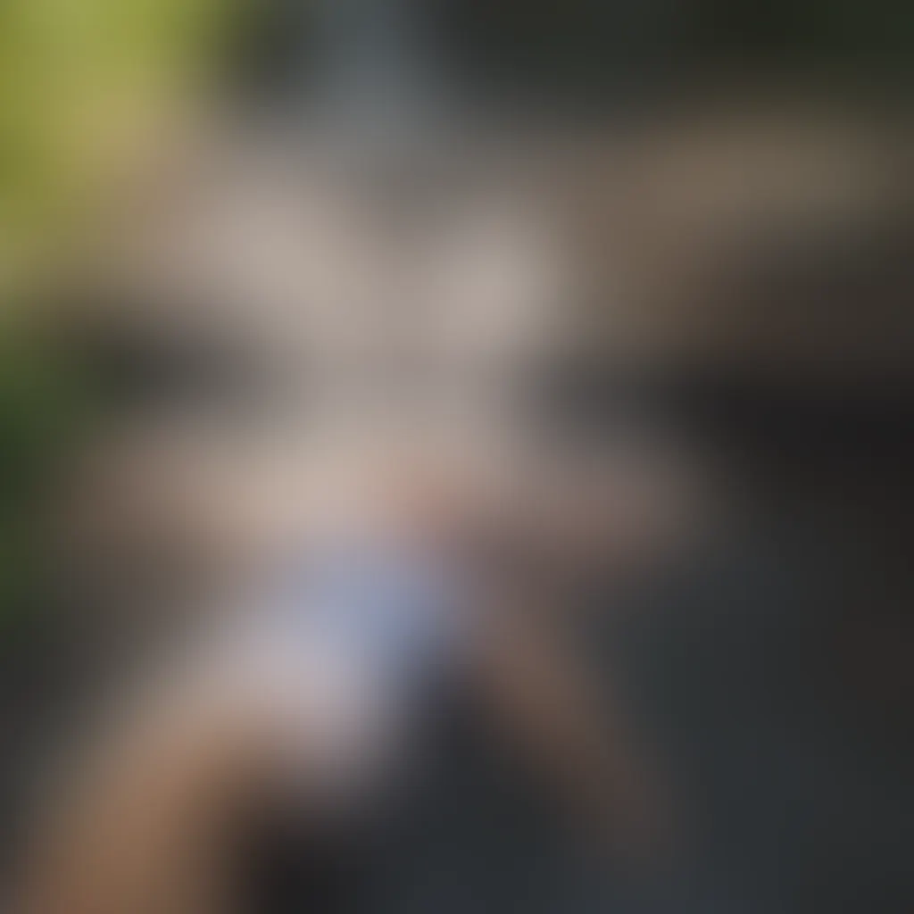 Slide image 9
