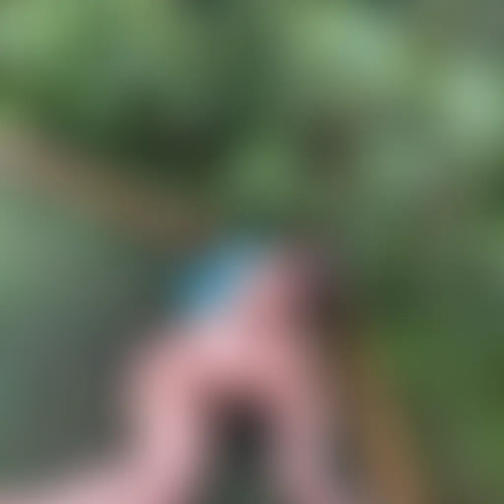 Slide image 5
