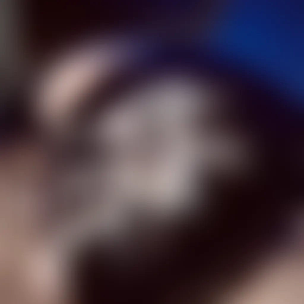 Slide image 1