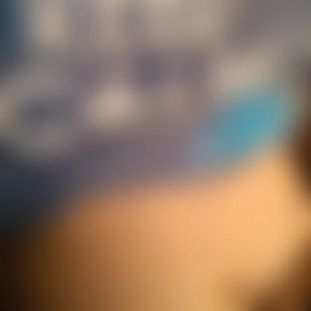 Slide image 4