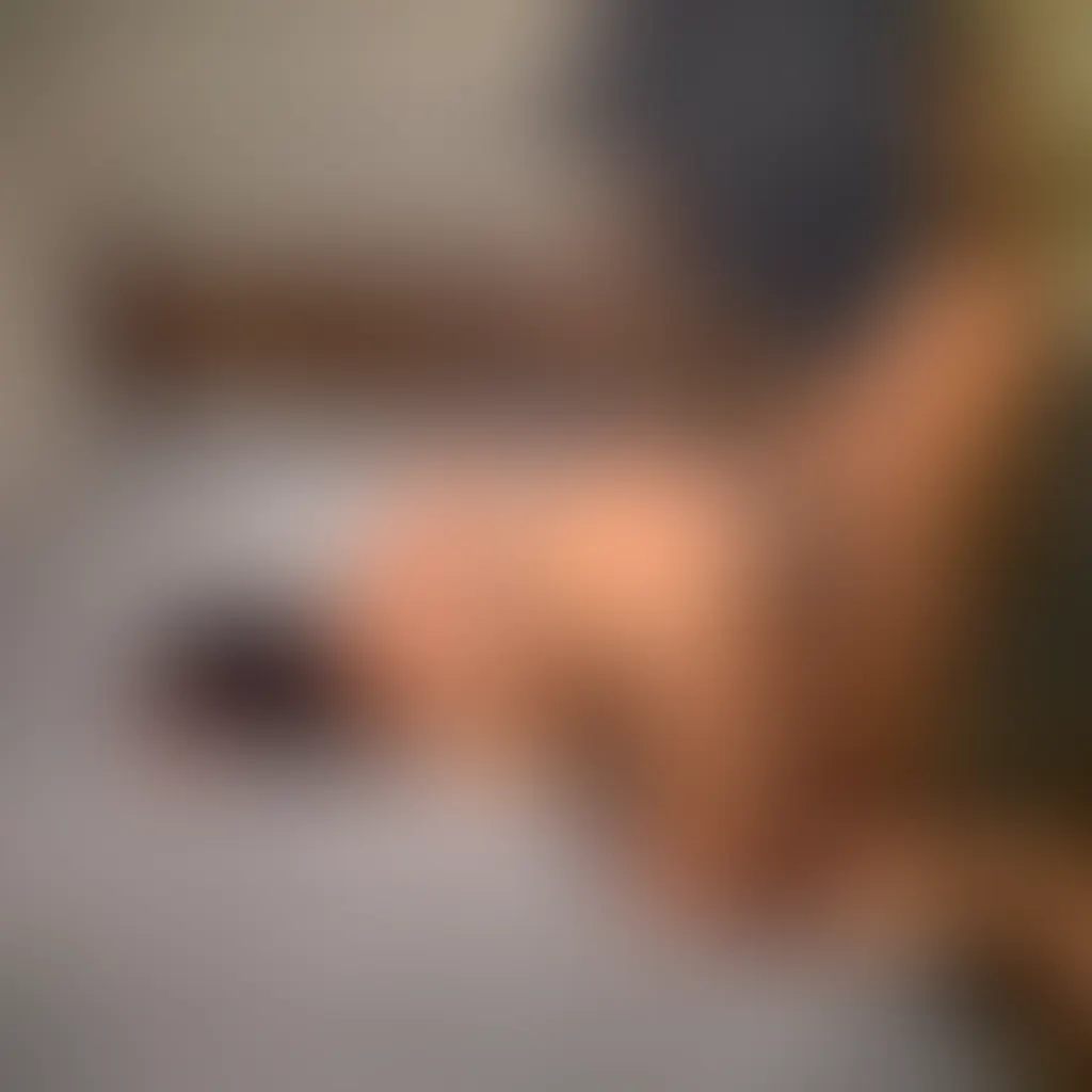 Slide image 2