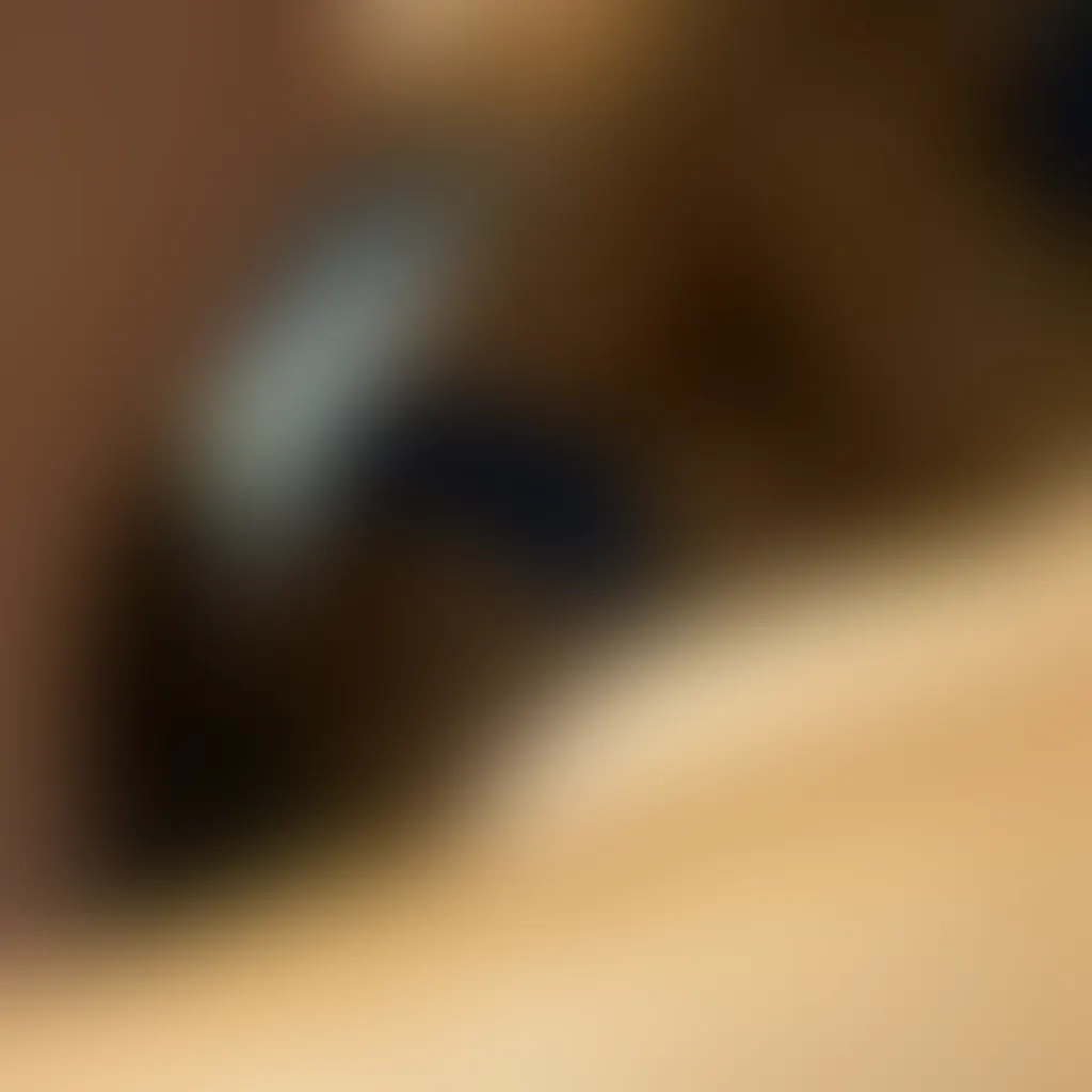 Slide image 4
