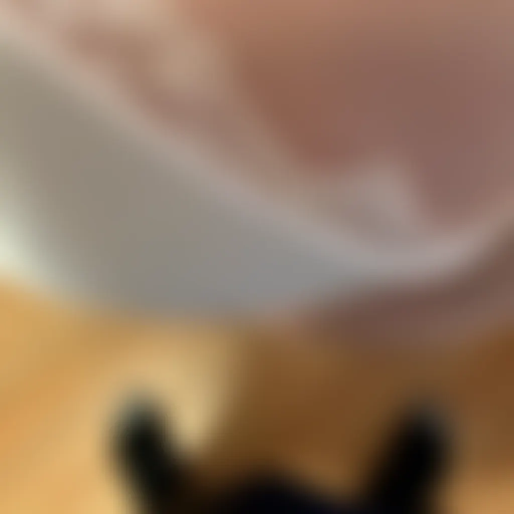 Slide image 1