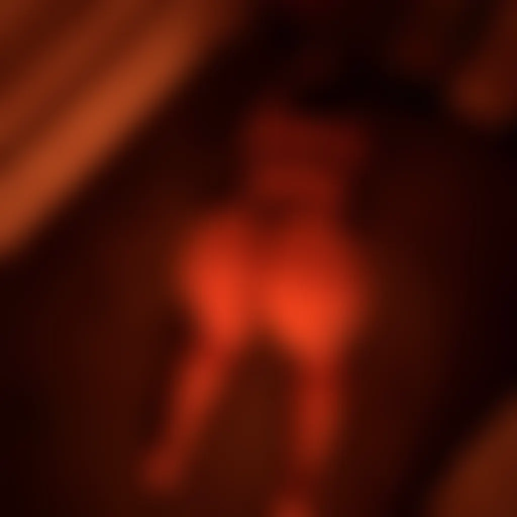 Slide image 5