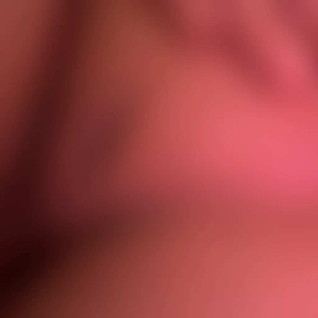 Slide image 3