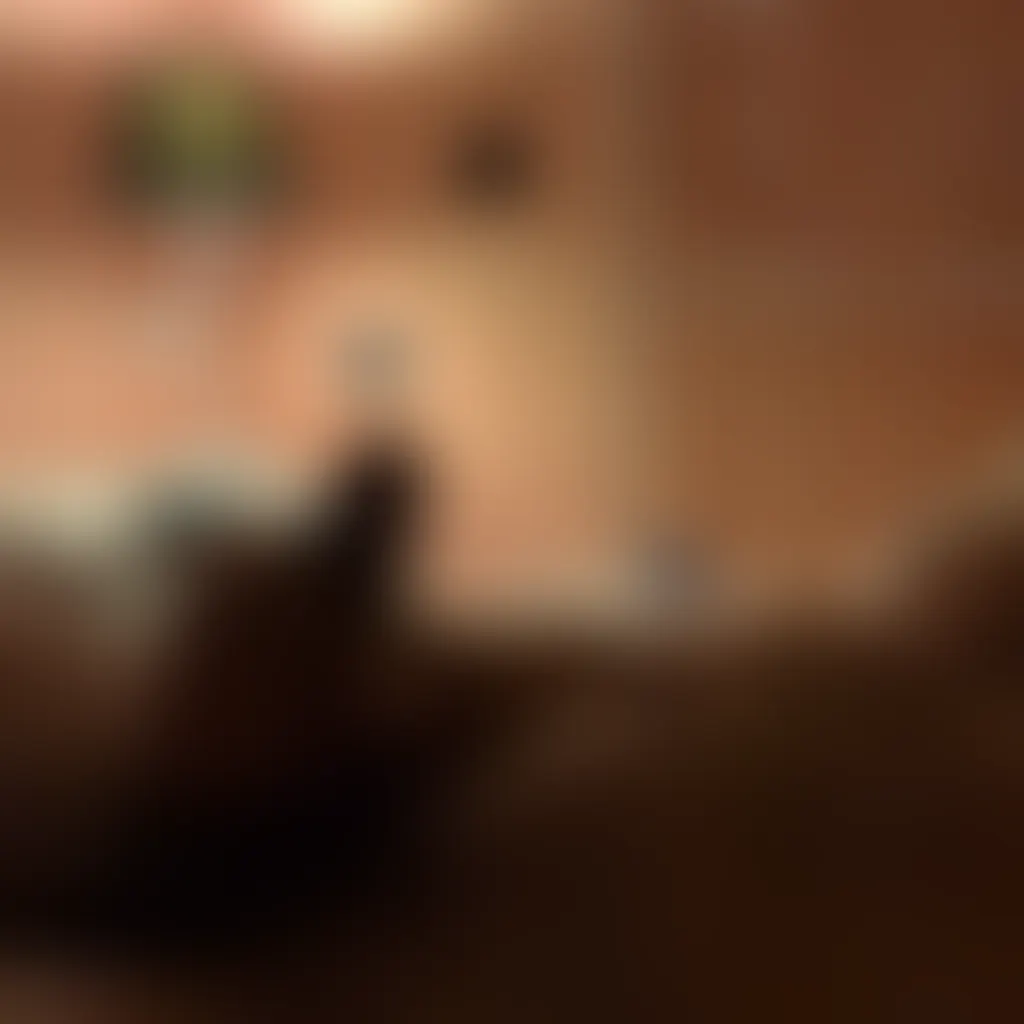 Slide image 5