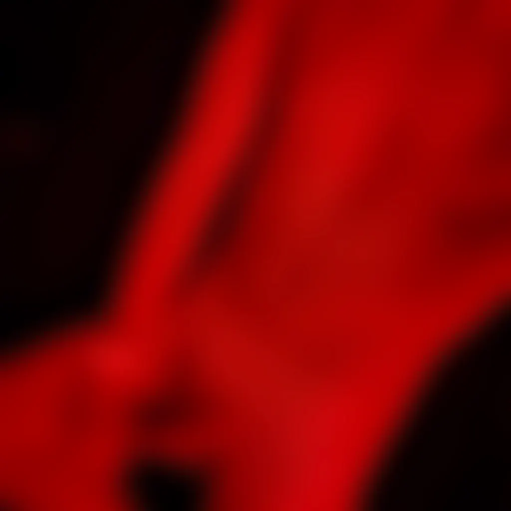 Slide image 2