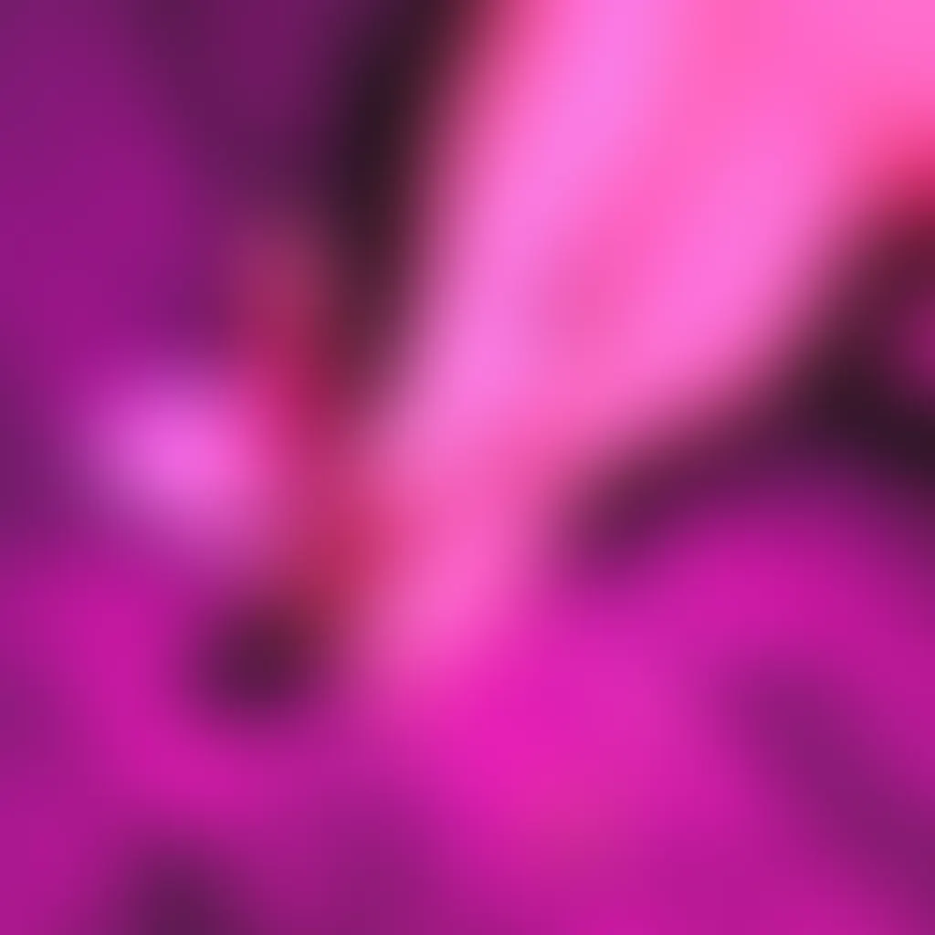 Slide image 3