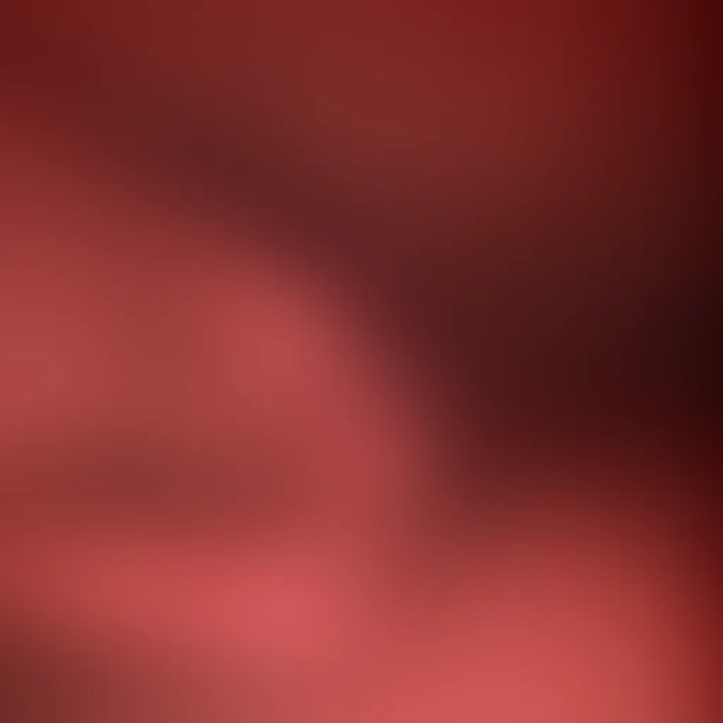 Slide image 3