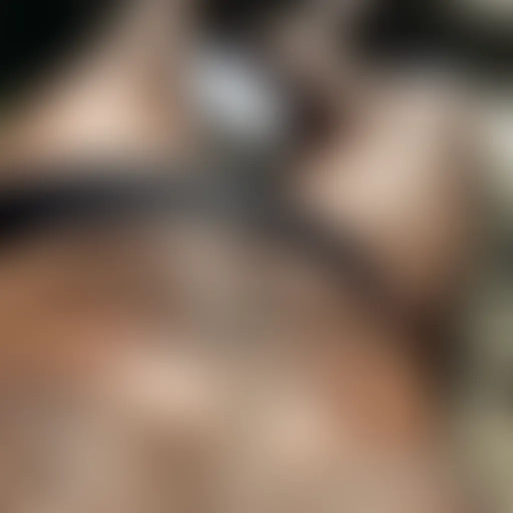 Slide image 1