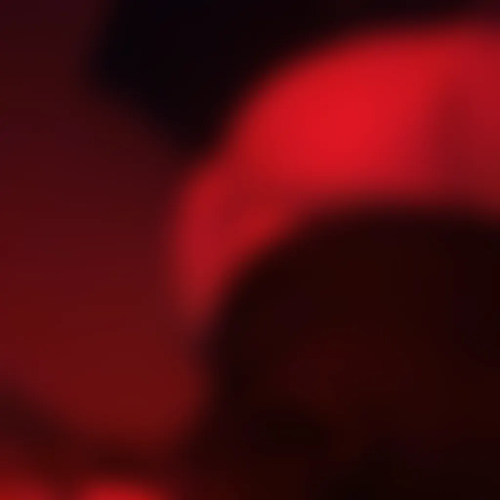 Slide image 3