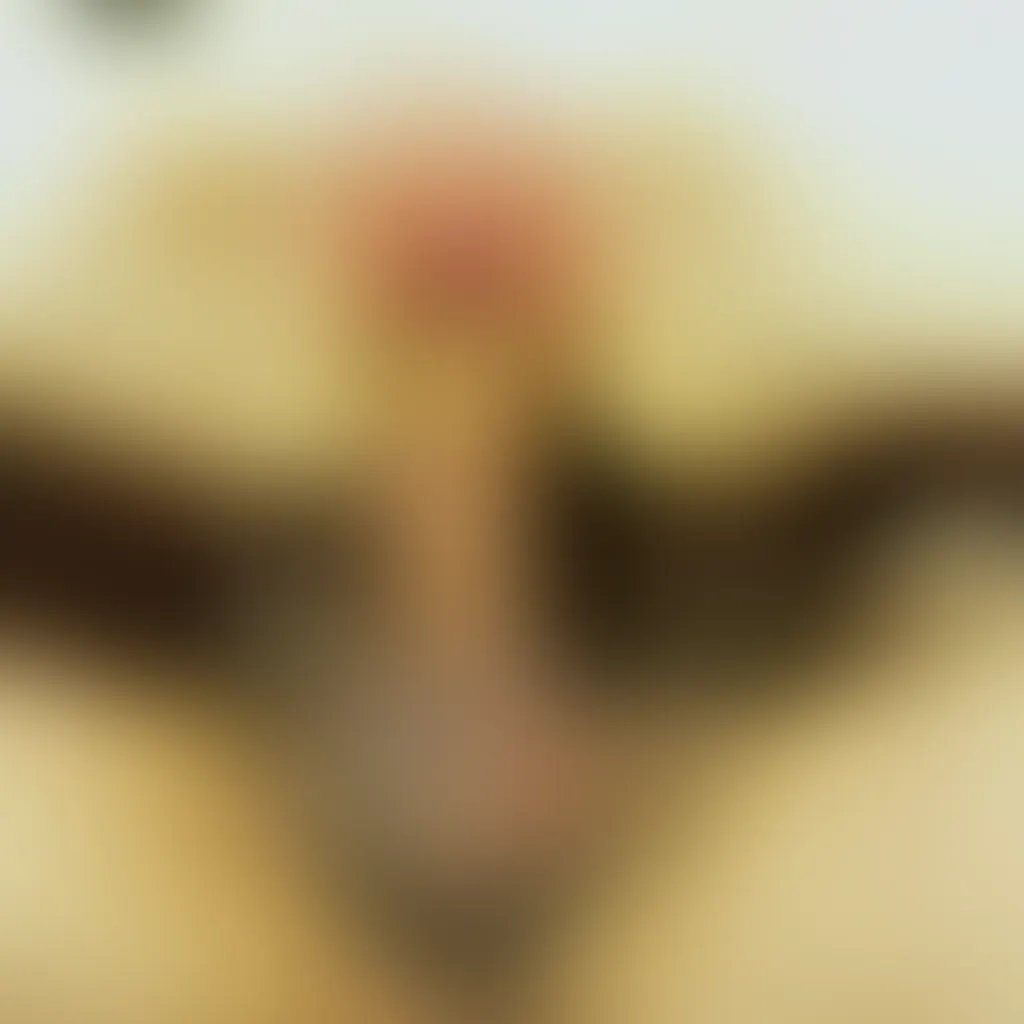 Slide image 4