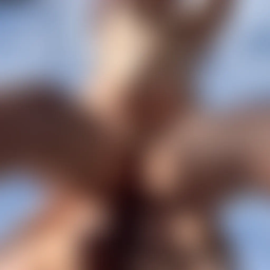 Slide image 1