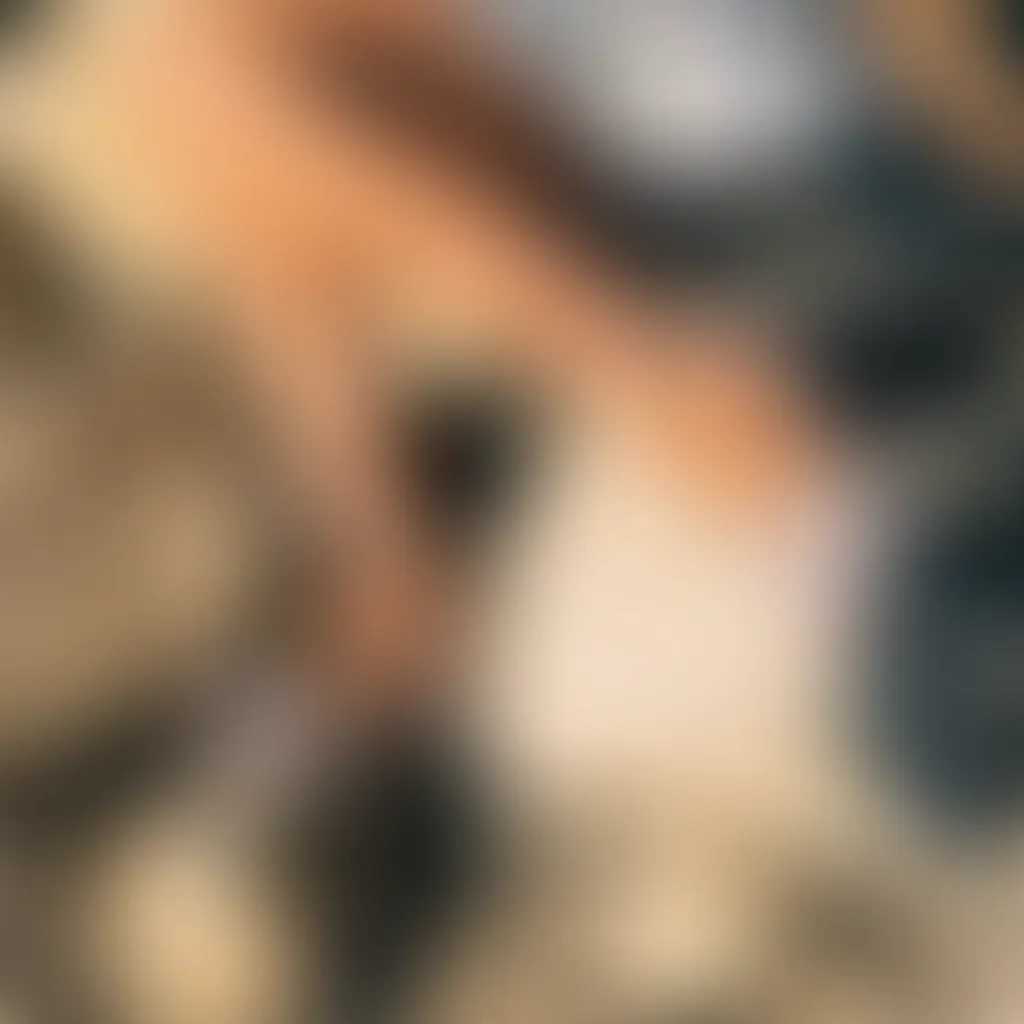 Slide image 2