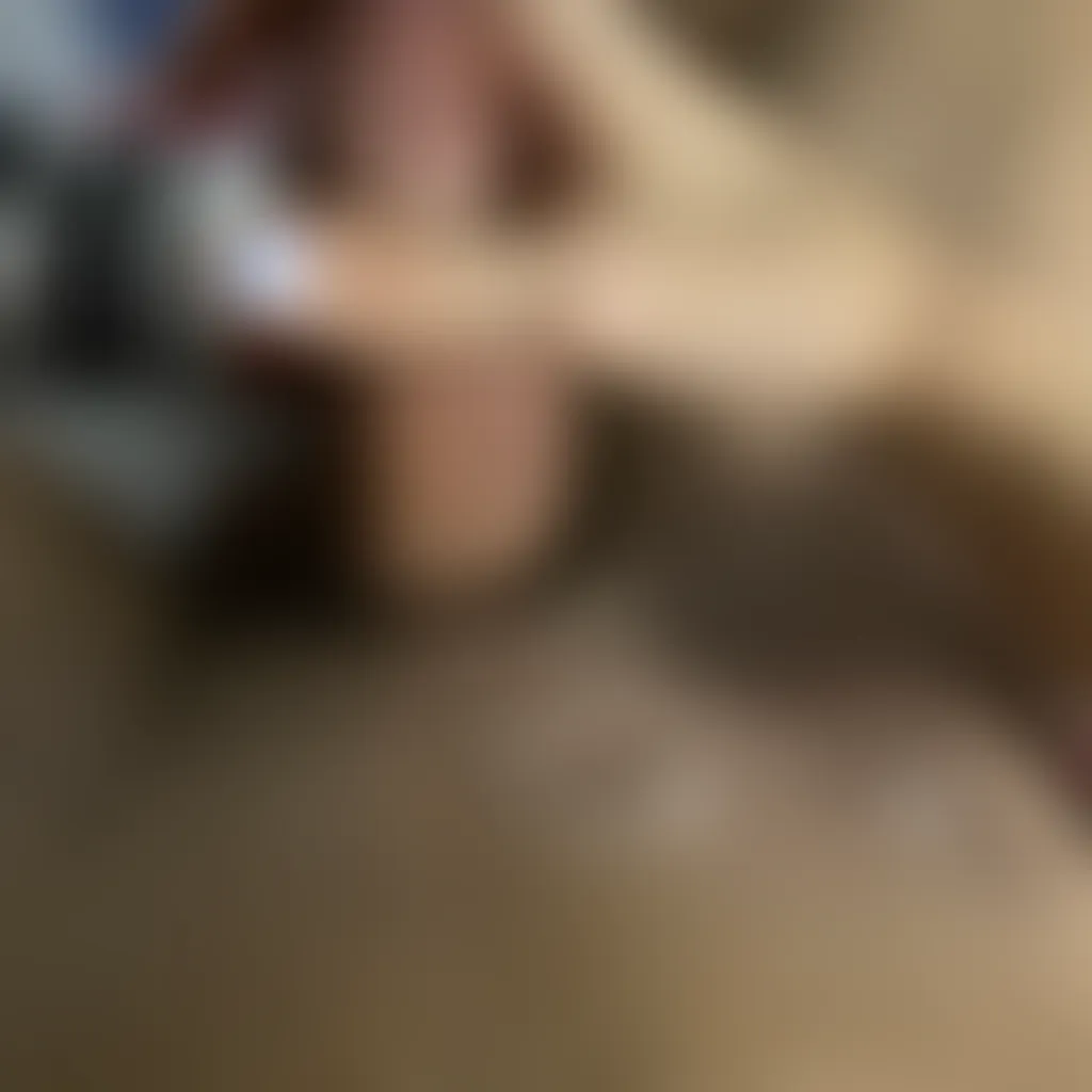 Slide image 1