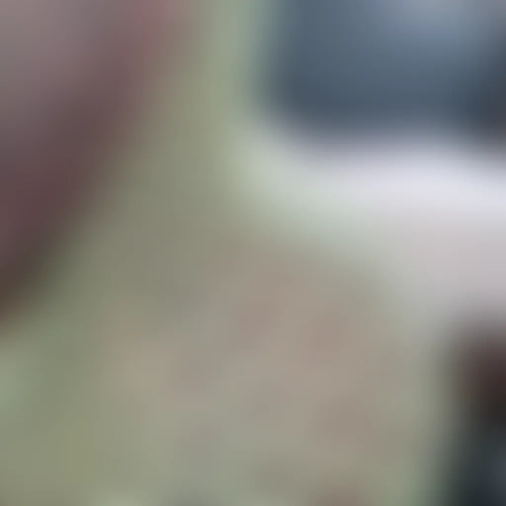 Slide image 1