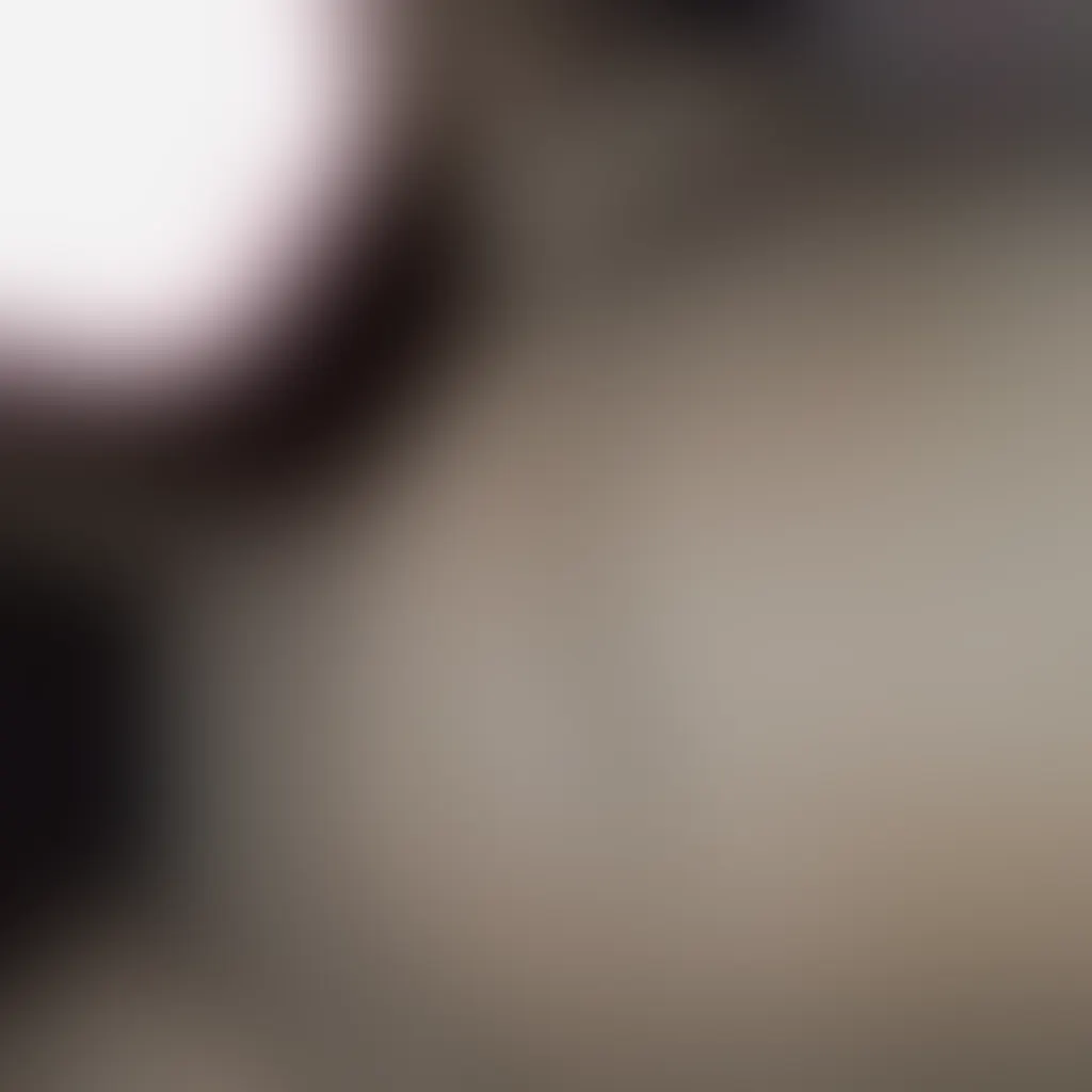 Slide image 4