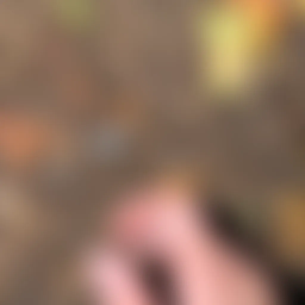 Slide image 2