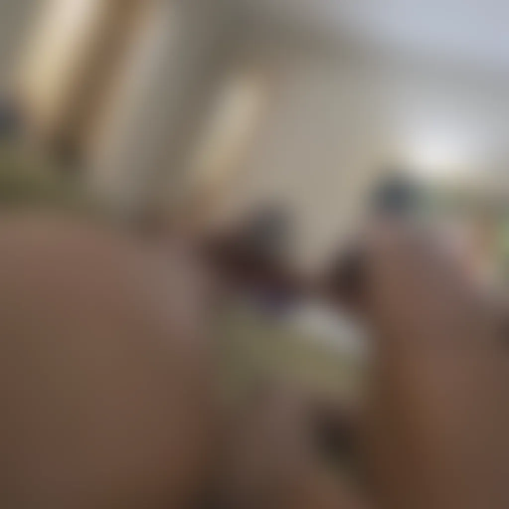 Slide image 10