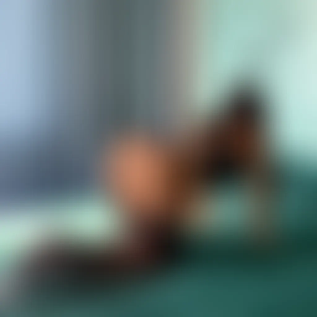 Slide image 1