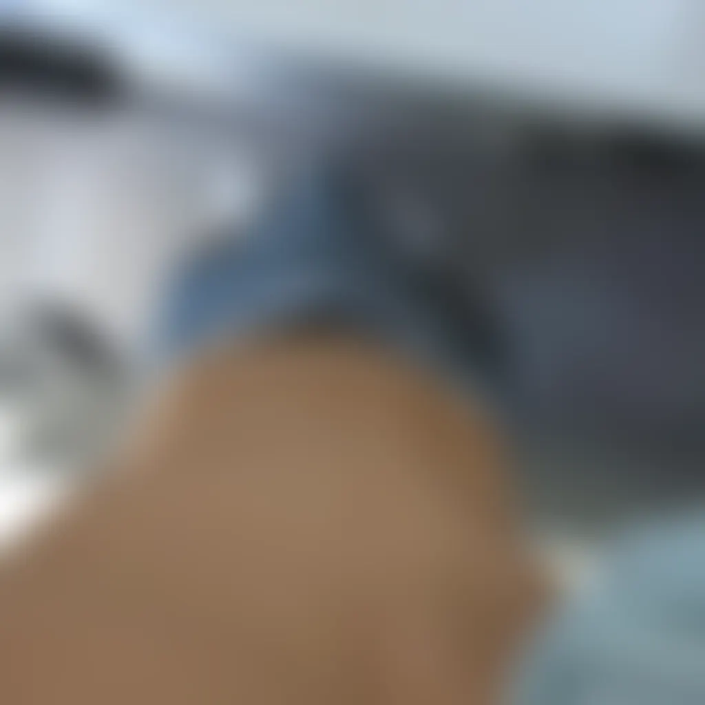 Slide image 1