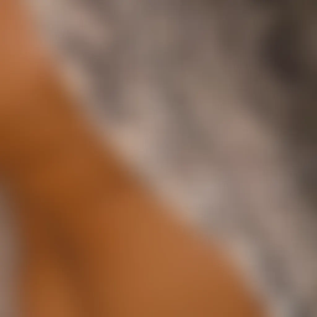 Slide image 3