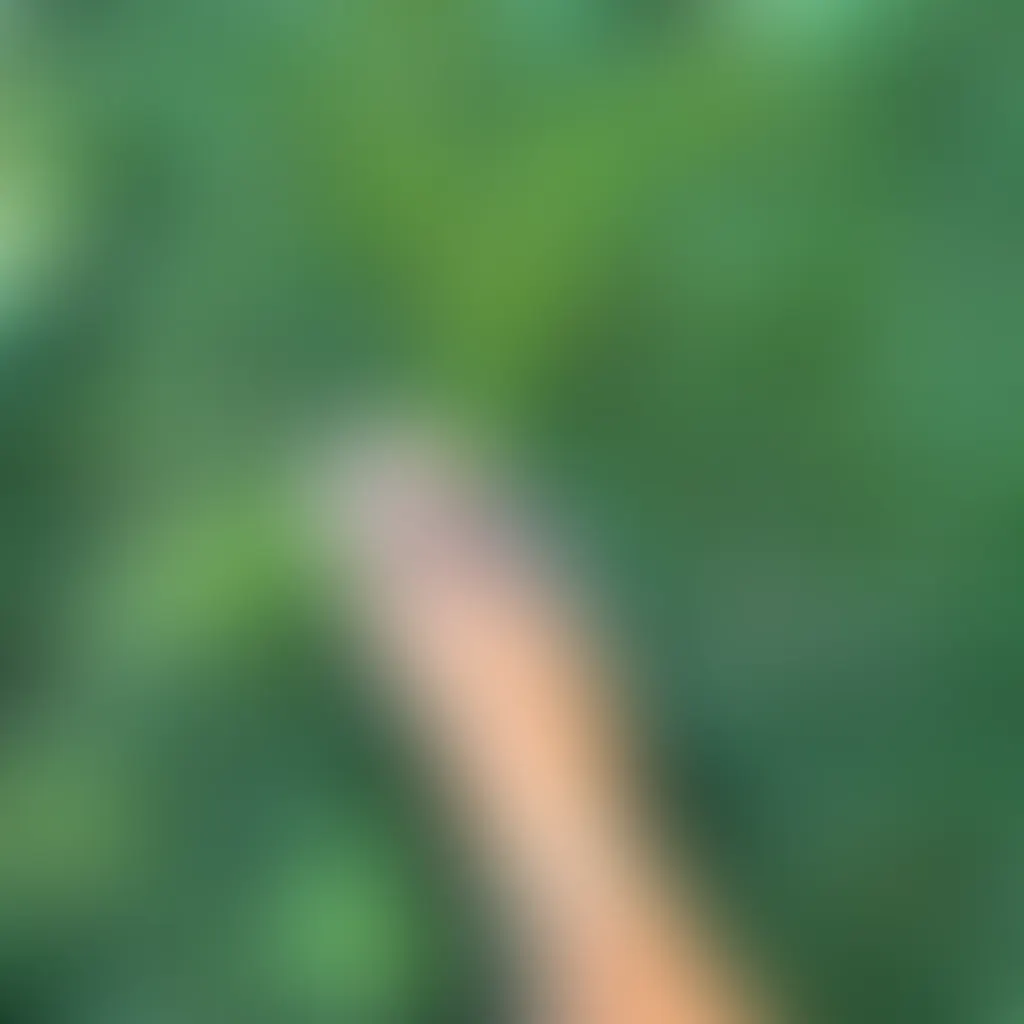 Slide image 2