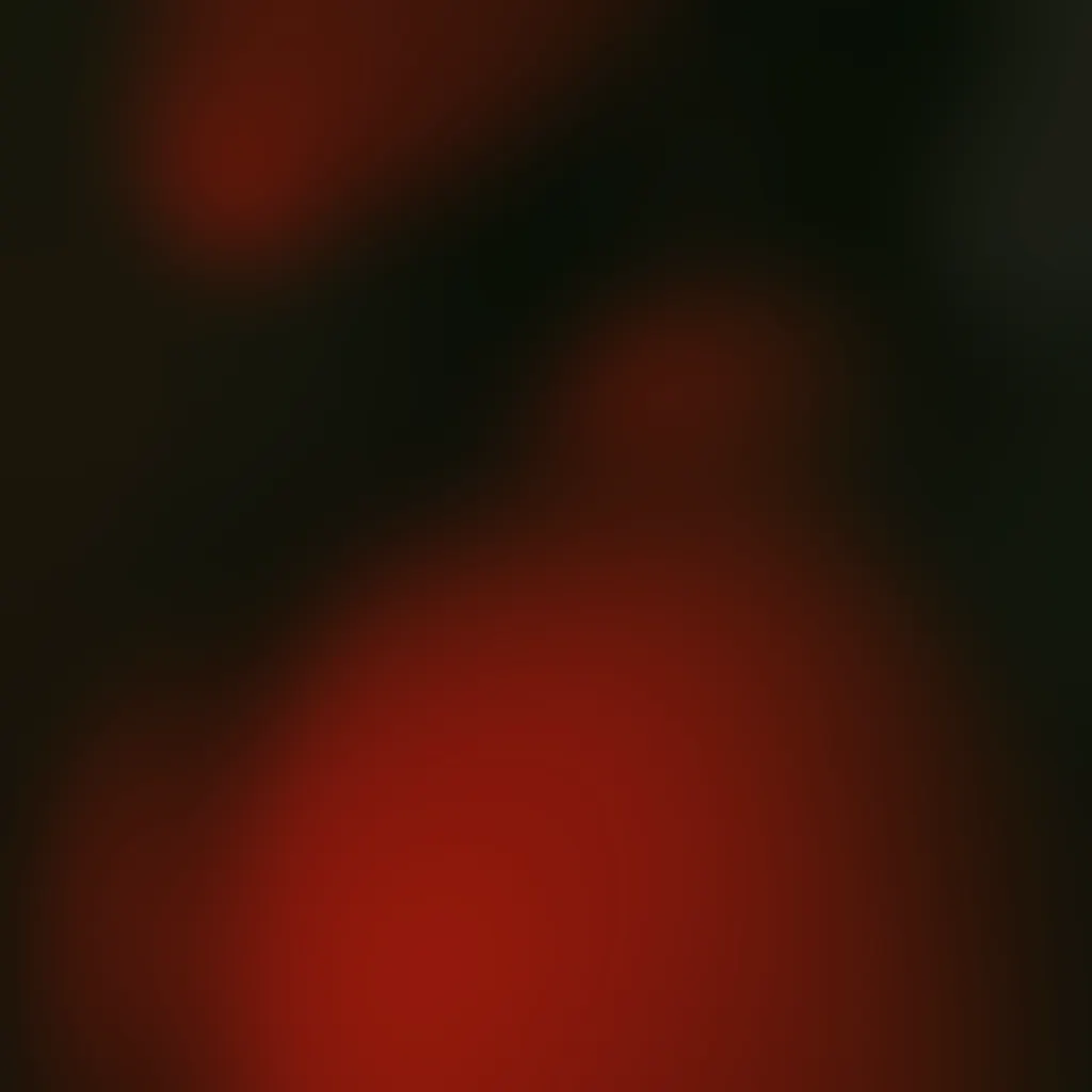 Slide image 3