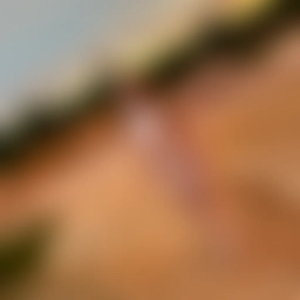 Slide image 2