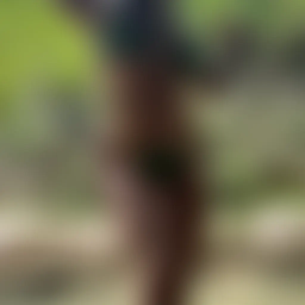 Slide image 3