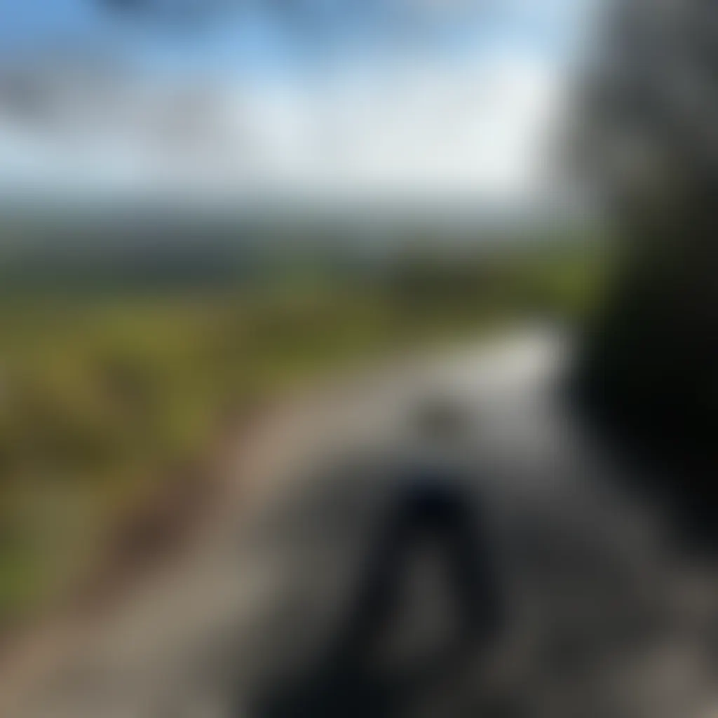 Slide image 1