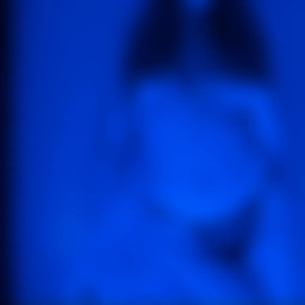 Slide image 2