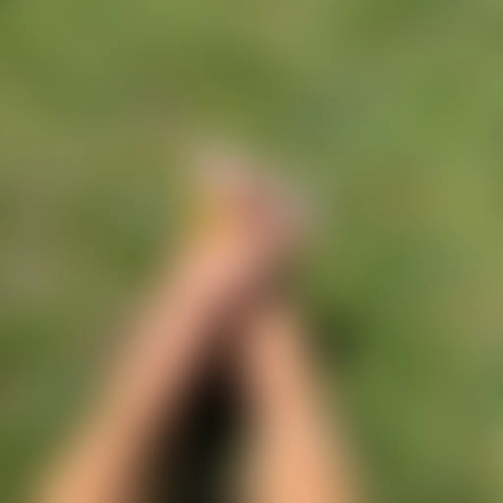 Slide image 4