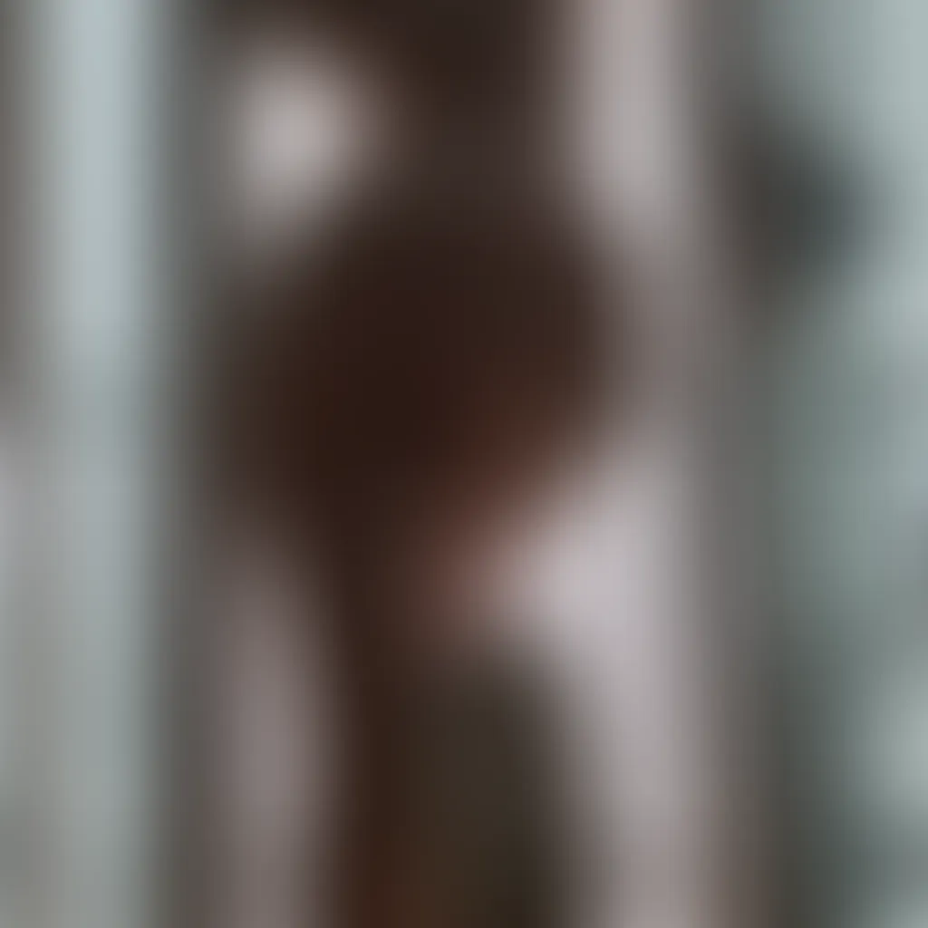 Slide image 2