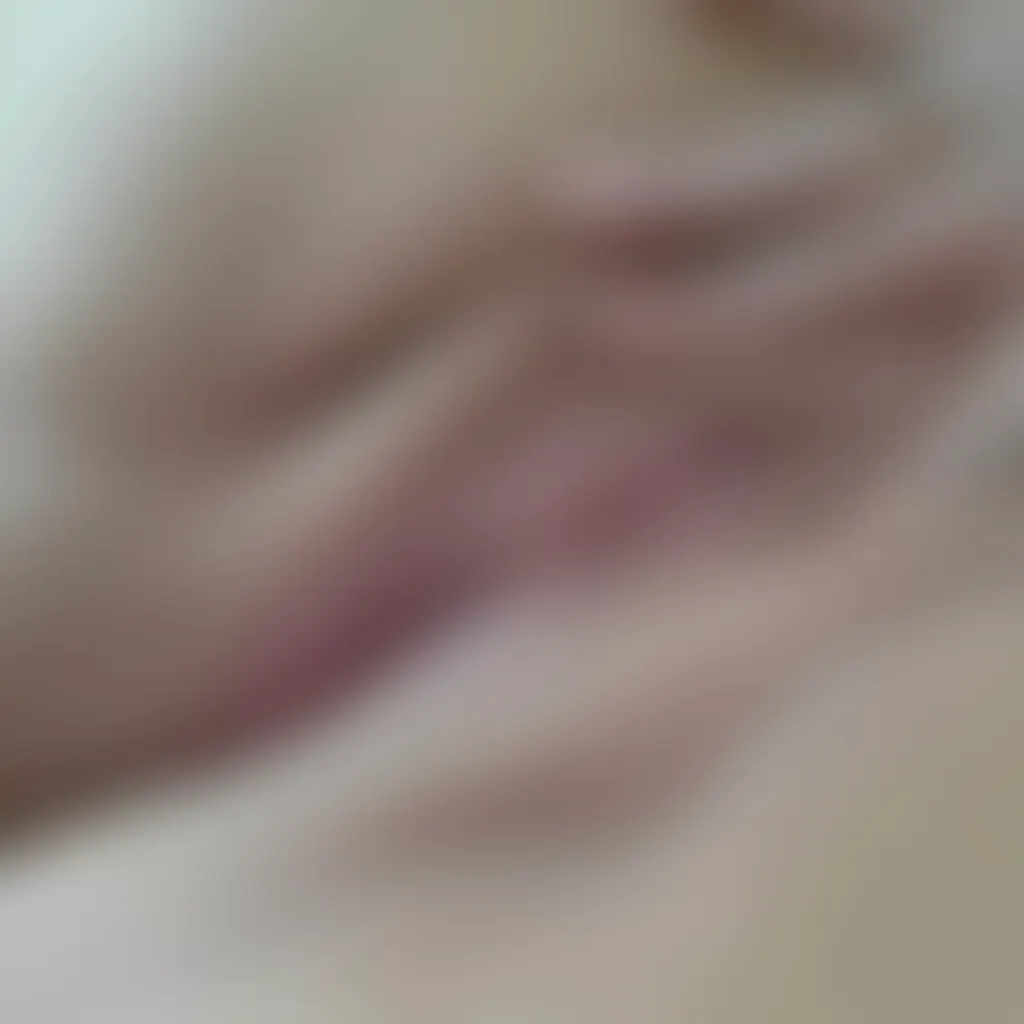 Slide image 2