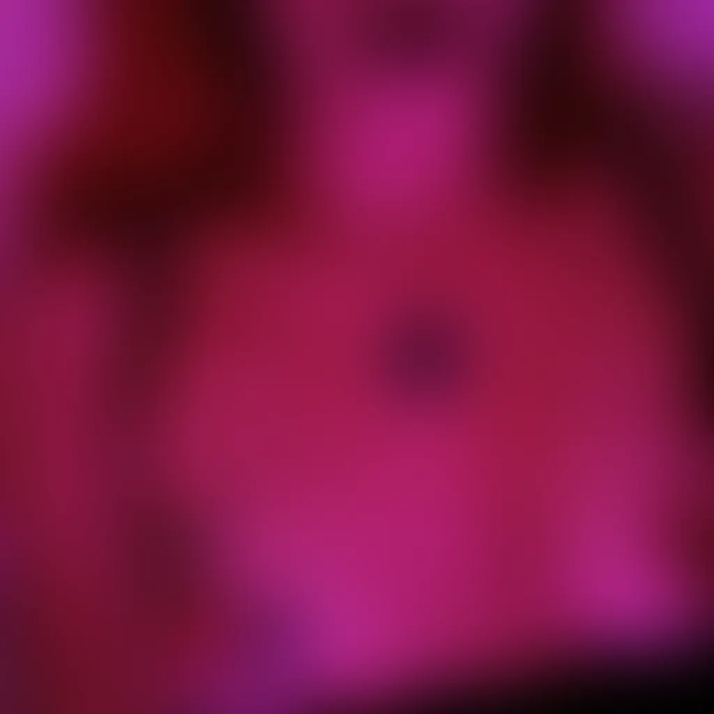 Slide image 2