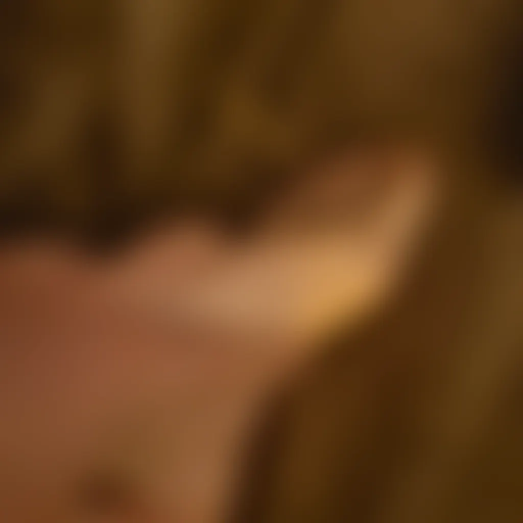 Slide image 2